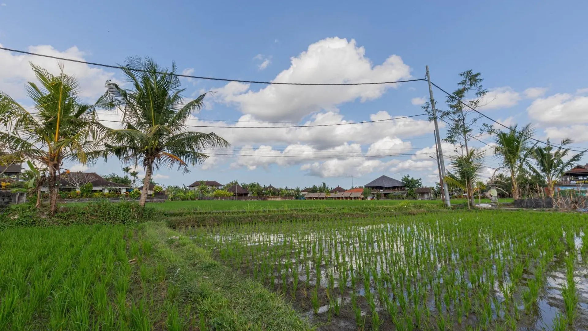 Niluh Private Villas Ubud